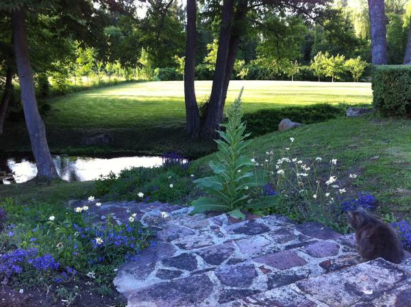 Entretien de jardin